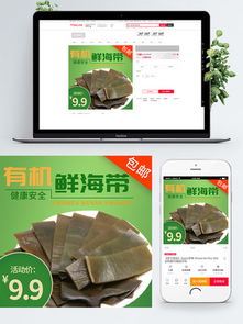 探索淘宝食品促销素材与模板 免费下载与创意设计全攻略